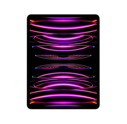 Apple 정품 2022 아이패드 프로 12.9 6세대 M2칩