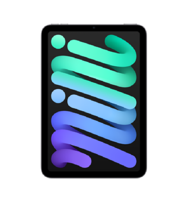 Apple 아이패드 mini, 스페이스 그레이, 64GB, Wi-Fi