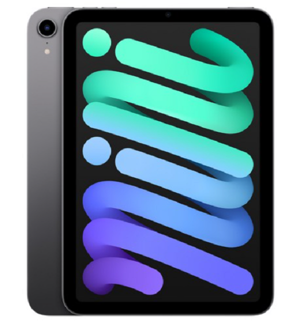 Apple 아이패드 mini, 스페이스 그레이, 64GB, Wi-Fi