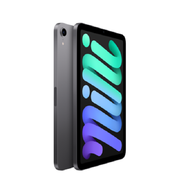 Apple 아이패드 mini, 스페이스 그레이, 64GB, Wi-Fi