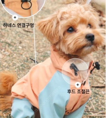 (새상품) 냥인댕 강아지 올인원 우비 XL사이즈 바람막이 가능