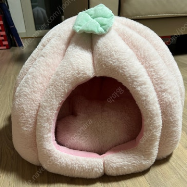고양이 숨숨집 및 숨숨터널