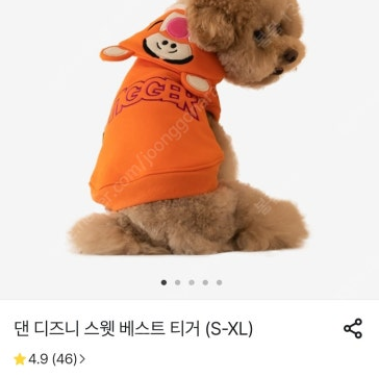 댄온라인