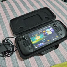 스팀덱 256g